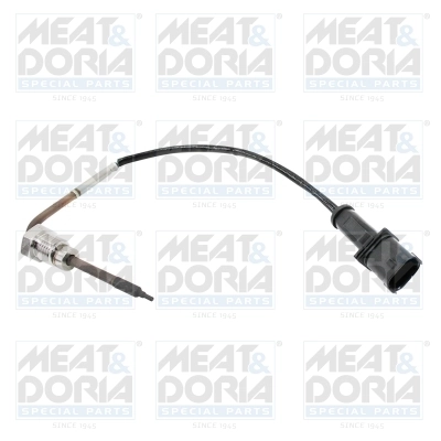 Sensor, exhaust gas temperature